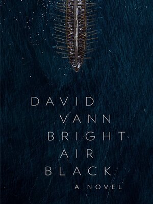 cover image of Bright Air Black